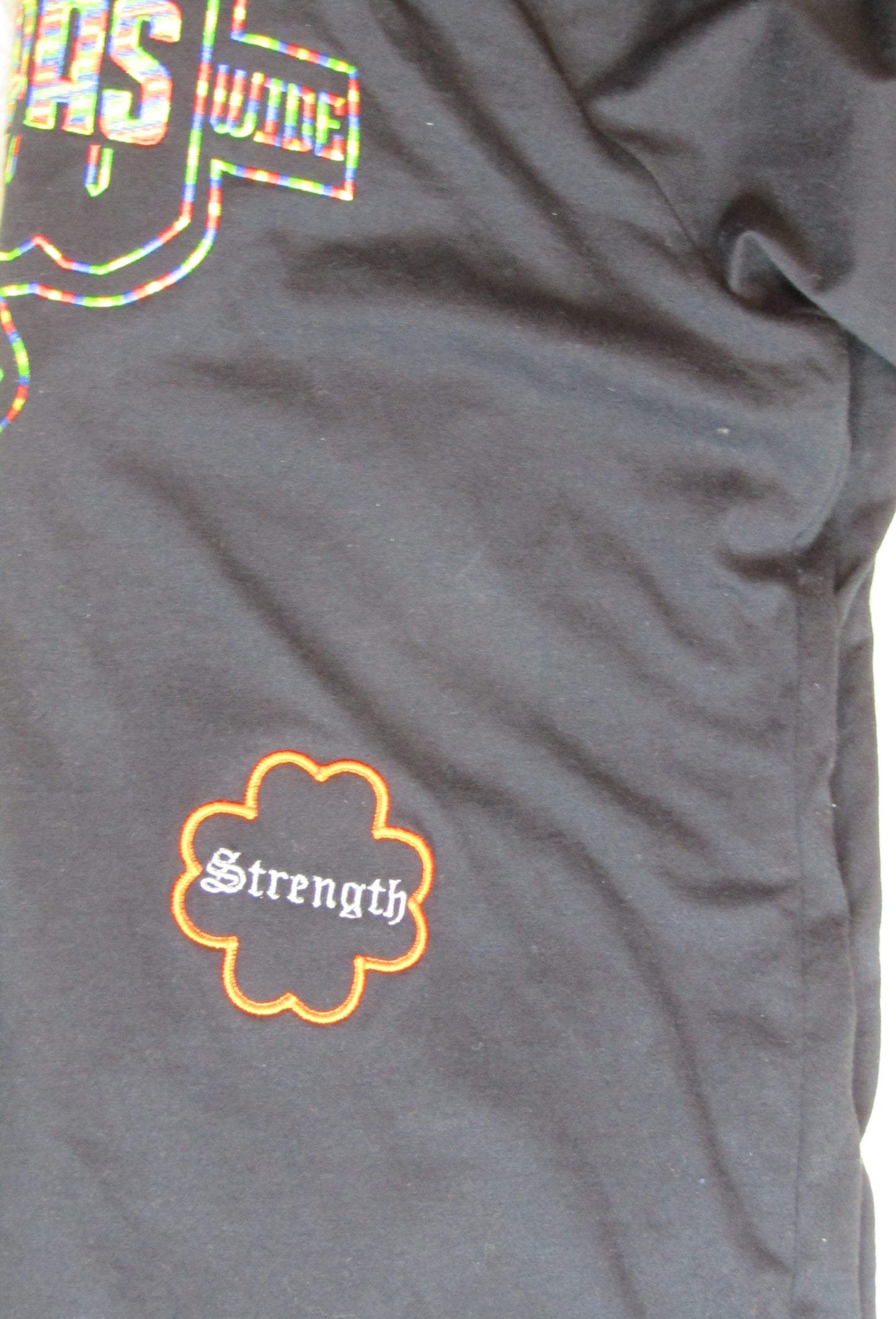 "World Wide Steppas Signature Hoodie Set – Sizes Small to 4X"